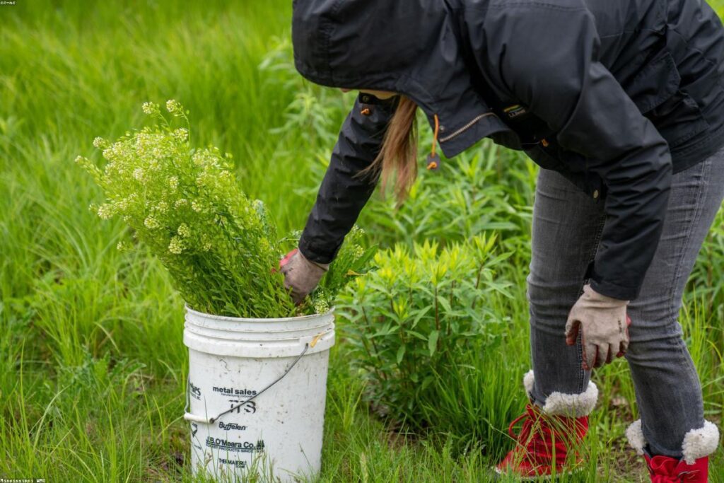 Mantenimiento de herramientas de jardin en invierno: guia completa 2026