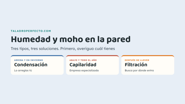 Humedad y moho en la pared